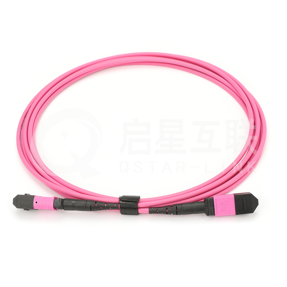 MPO OM4 12 Cores.png